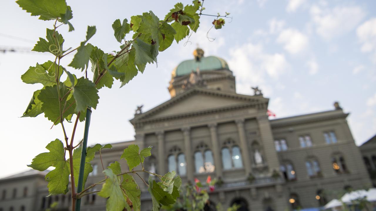 Transparence imposée : le Tribunal administratif fédéral exige la divulgation de la cave à vins du Conseil fédéral