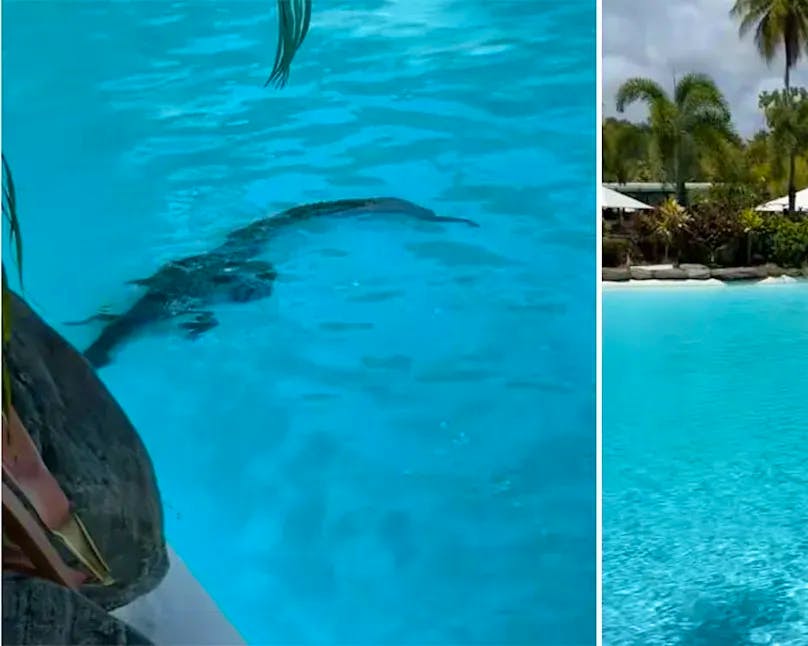 Raccordement électrique à Zaporijjia : débuts des réparations et contexte autour de la centrale