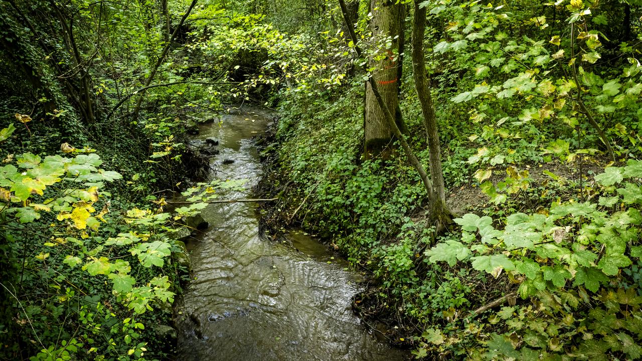 Discord minimise l’attaque: 70 000 comptes touchés selon l’entreprise, face aux affirmations des pirates sur 1,5 téraoctet de données